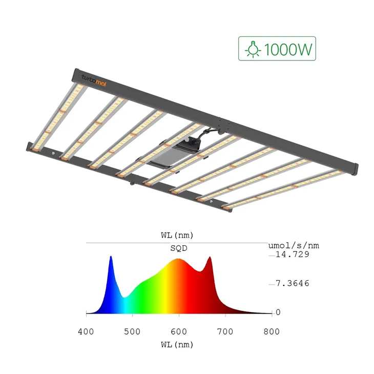 Best Led Grow Lights 1000w | Preferred Cannabis-assisted Growth